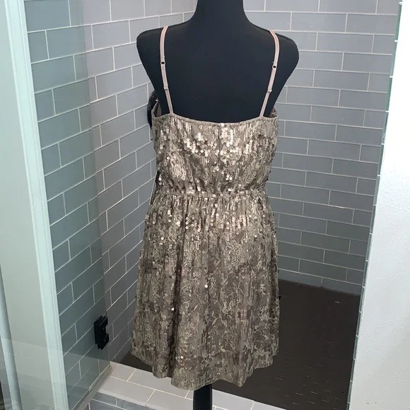 Express Large Pewter Dress - Picture 3 of 6